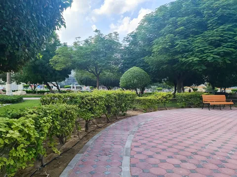 DIP Public Park